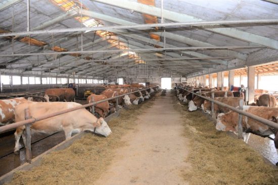 Farma-„Nikolov-na-Staroj-planini-768×513